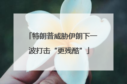 特朗普威胁伊朗下一波打击“更残酷”
