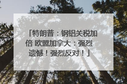 特朗普：钢铝关税加倍 欧盟加拿大：强烈遗憾！强烈反对！