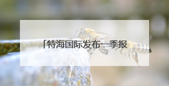 特海国际发布一季报 海底捞需在“质价比”和“体验感”中找到平衡｜新经济观察