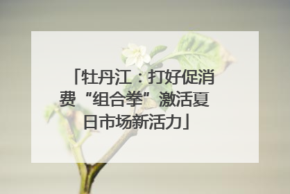 牡丹江：打好促消费“组合拳”激活夏日市场新活力