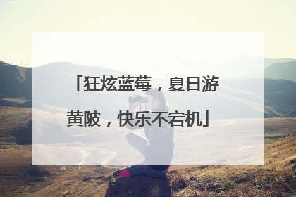 狂炫蓝莓，夏日游黄陂，快乐不宕机