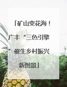 矿山变花海！广丰“三色引擎”催生乡村振兴新图景