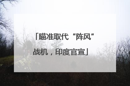 瞄准取代“阵风”战机，印度官宣
