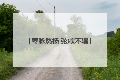 琴脉悠扬 弦歌不辍