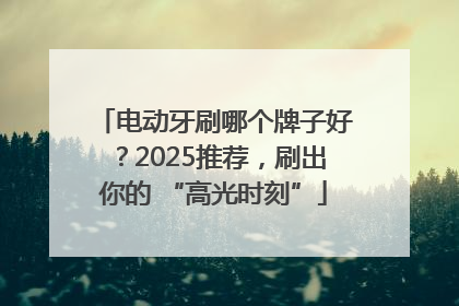 电动牙刷哪个牌子好？2025推荐，刷出你的 “高光时刻”