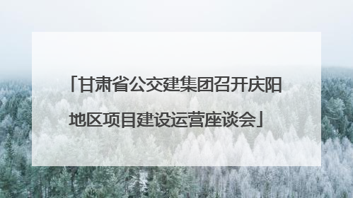 甘肃省公交建集团召开庆阳地区项目建设运营座谈会