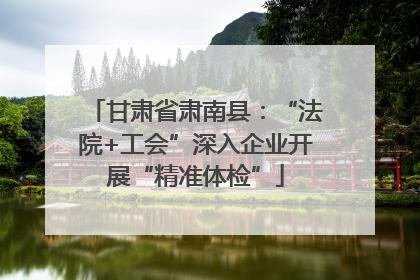 甘肃省肃南县：“法院+工会”深入企业开展“精准体检”