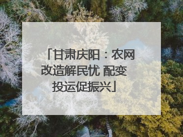 甘肃庆阳：农网改造解民忧 配变投运促振兴