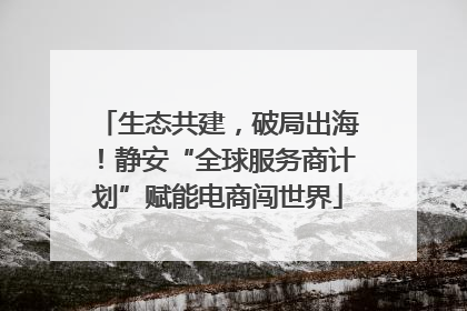 生态共建，破局出海！静安“全球服务商计划”赋能电商闯世界