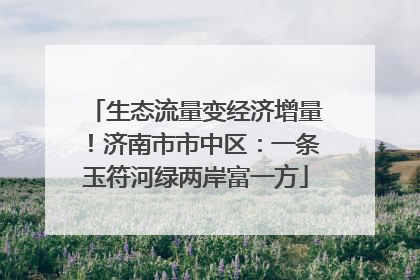 生态流量变经济增量！济南市市中区：一条玉符河绿两岸富一方