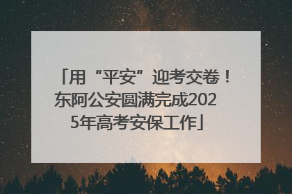 用“平安”迎考交卷！东阿公安圆满完成2025年高考安保工作