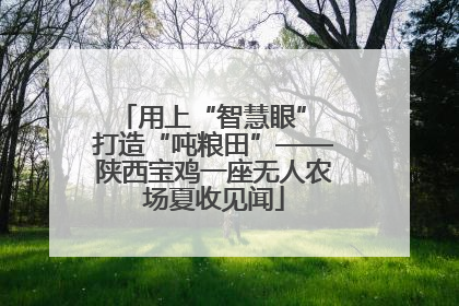 用上“智慧眼” 打造“吨粮田”——陕西宝鸡一座无人农场夏收见闻