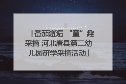 番茄邂逅 “童”趣采摘 河北唐县第二幼儿园研学采摘活动