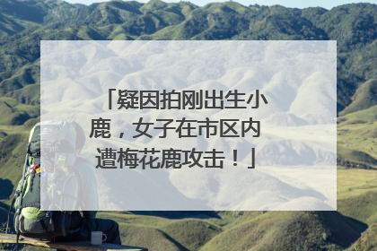 疑因拍刚出生小鹿，女子在市区内遭梅花鹿攻击！