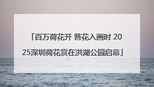 百万荷花开 簪花入画时 2025深圳荷花赏在洪湖公园启幕