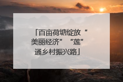 百亩荷塘绽放“美丽经济”“莲”通乡村振兴路