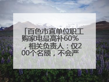 百色市直单位职工购家电最高补60％，相关负责人：仅200个名额，不会严格筛查身份