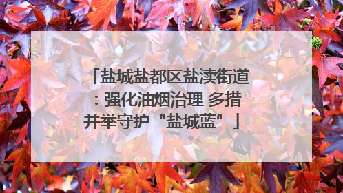 盐城盐都区盐渎街道：强化油烟治理 多措并举守护“盐城蓝”