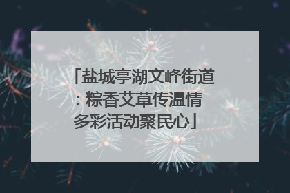 盐城亭湖文峰街道：粽香艾草传温情 多彩活动聚民心