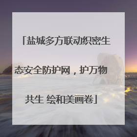 盐城多方联动织密生态安全防护网，护万物共生 绘和美画卷