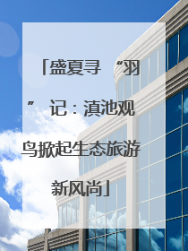 盛夏寻 “羽” 记：滇池观鸟掀起生态旅游新风尚