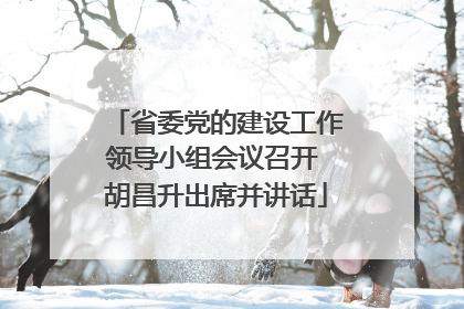 省委党的建设工作领导小组会议召开 胡昌升出席并讲话