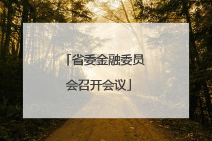 省委金融委员会召开会议
