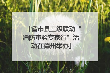 省市县三级联动“消防审验专家行”活动在德州举办