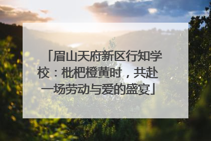 眉山天府新区行知学校：枇杷橙黄时，共赴一场劳动与爱的盛宴