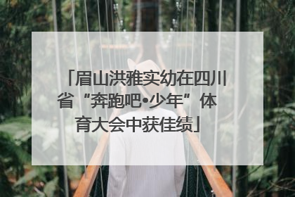 眉山洪雅实幼在四川省“奔跑吧•少年”体育大会中获佳绩