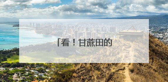 看！甘蔗田的“科技范儿”