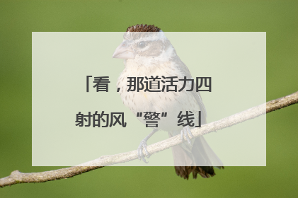 看，那道活力四射的风“警”线
