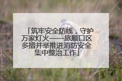 筑牢安全防线，守护万家灯火——旅顺口区多措并举推进消防安全集中整治工作