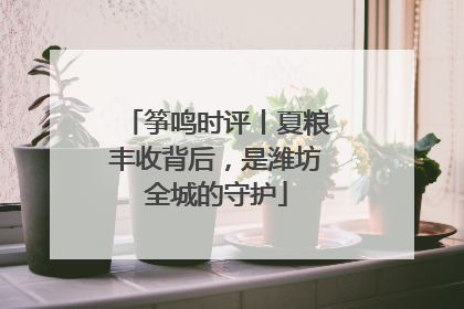 筝鸣时评丨夏粮丰收背后，是潍坊全城的守护