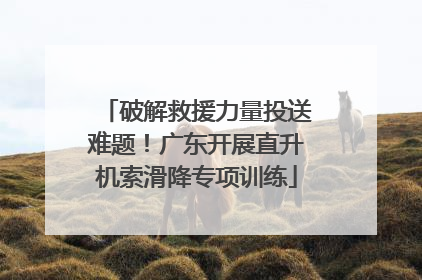 破解救援力量投送难题！广东开展直升机索滑降专项训练