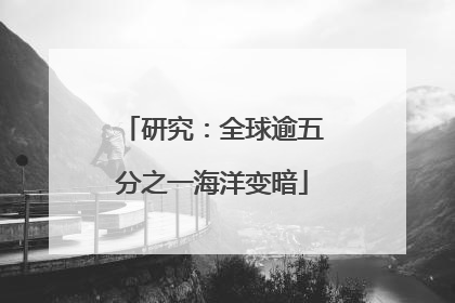 研究：全球逾五分之一海洋变暗