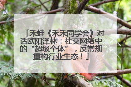 禾蛙《禾禾同学会》对话欧阳泽林：社交网络中的“超级个体”，反常规重构行业生态！