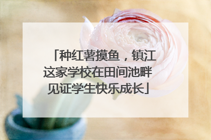 种红薯摸鱼，镇江这家学校在田间池畔见证学生快乐成长