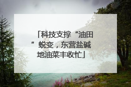 科技支撑“油田”蜕变，东营盐碱地油菜丰收忙