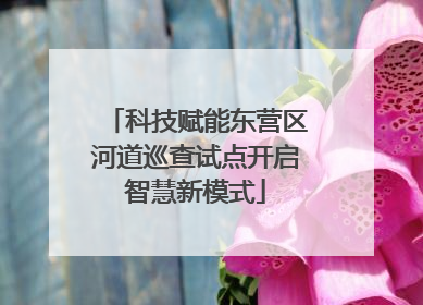 科技赋能东营区河道巡查试点开启智慧新模式