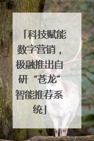 科技赋能数字营销，极融推出自研“苍龙”智能推荐系统