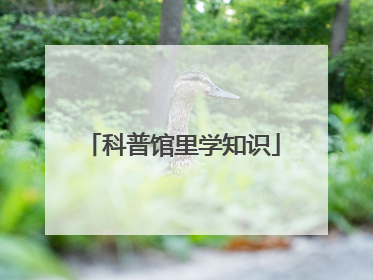 科普馆里学知识