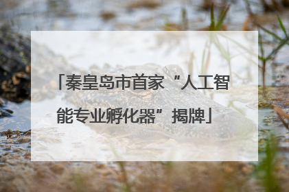 秦皇岛市首家“人工智能专业孵化器”揭牌