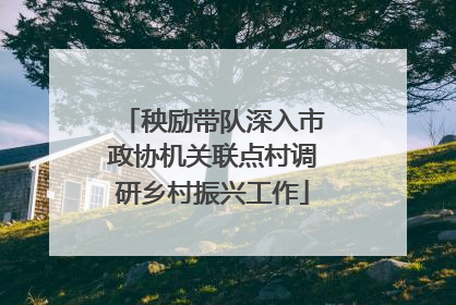 秧励带队深入市政协机关联点村调研乡村振兴工作