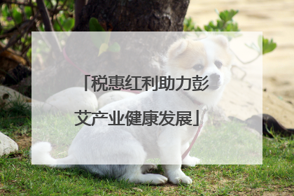 税惠红利助力彭艾产业健康发展