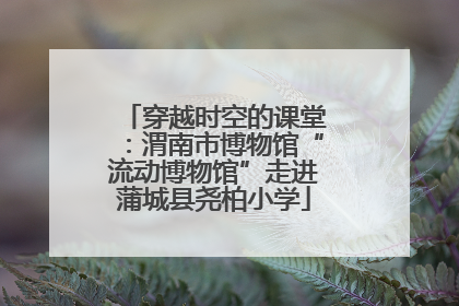 穿越时空的课堂：渭南市博物馆“流动博物馆”走进蒲城县尧柏小学