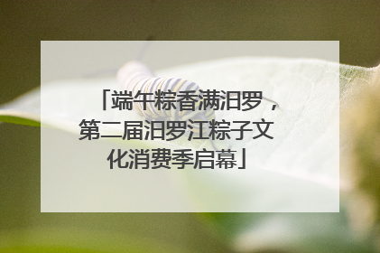 端午粽香满汨罗，第二届汨罗江粽子文化消费季启幕