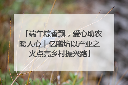 端午粽香飘，爱心助农暖人心｜亿膳坊以产业之火点亮乡村振兴路
