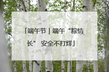 端午节｜端午“粽情长” 安全不打烊