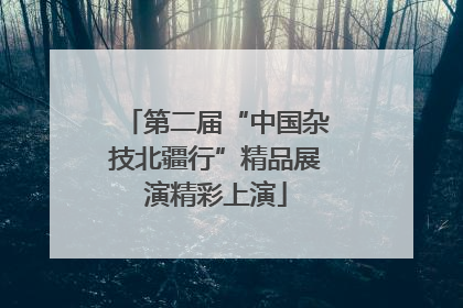 第二届“中国杂技北疆行”精品展演精彩上演